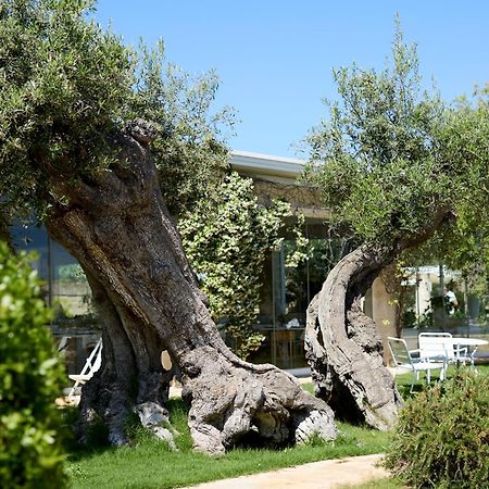 Masseria Torre Del Diamante Torre Canne Zewnętrze zdjęcie