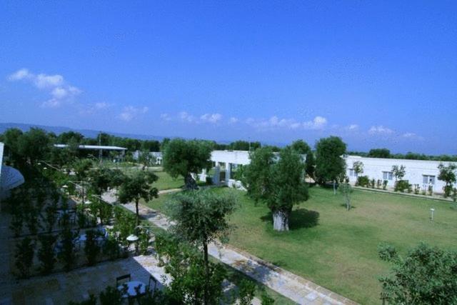 Masseria Torre Del Diamante Torre Canne Zewnętrze zdjęcie