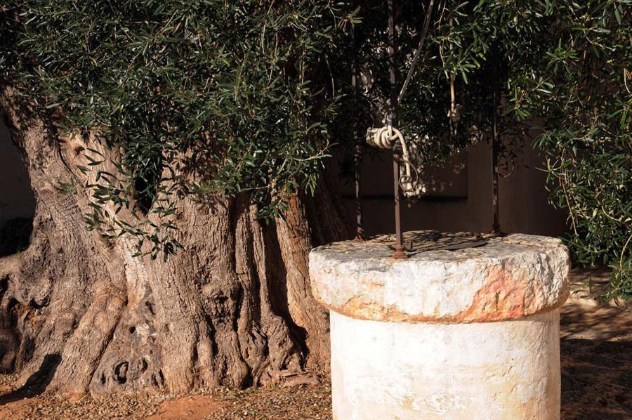 Masseria Torre Del Diamante Torre Canne Zewnętrze zdjęcie