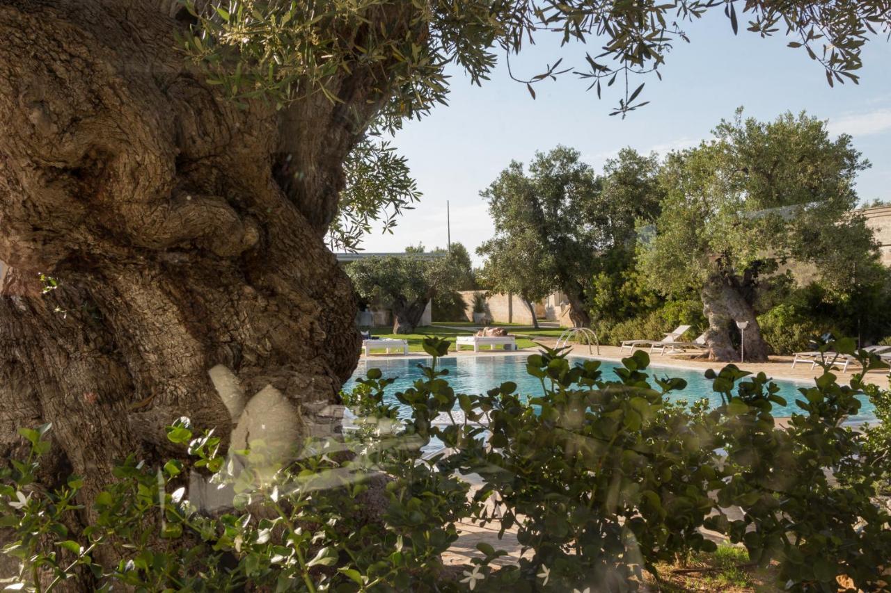 Masseria Torre Del Diamante Torre Canne Zewnętrze zdjęcie