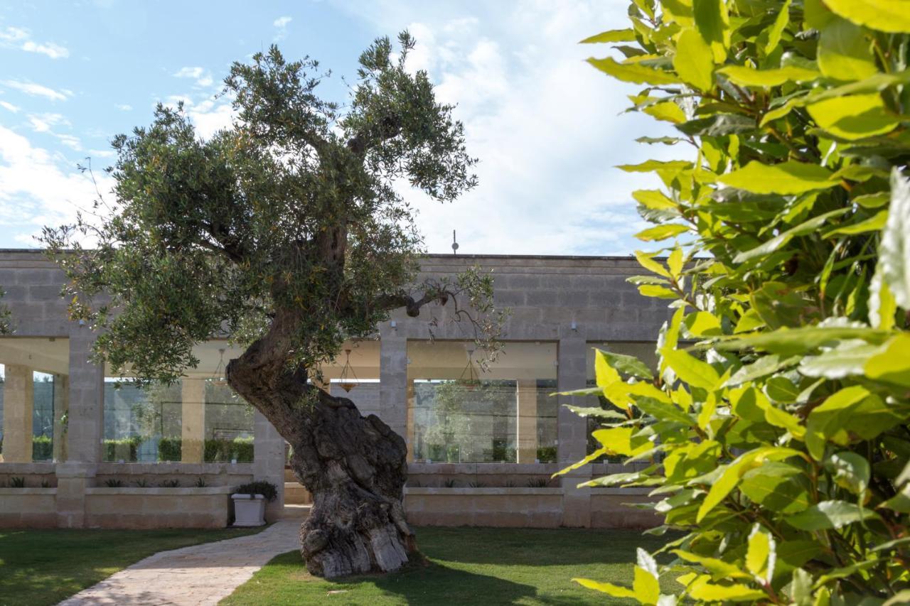 Masseria Torre Del Diamante Torre Canne Zewnętrze zdjęcie