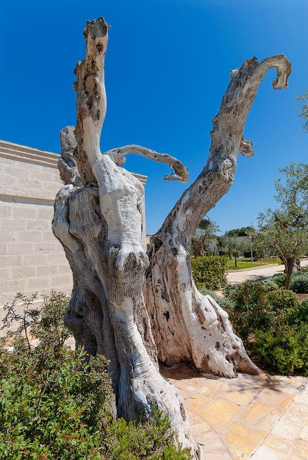 Masseria Torre Del Diamante Torre Canne Zewnętrze zdjęcie