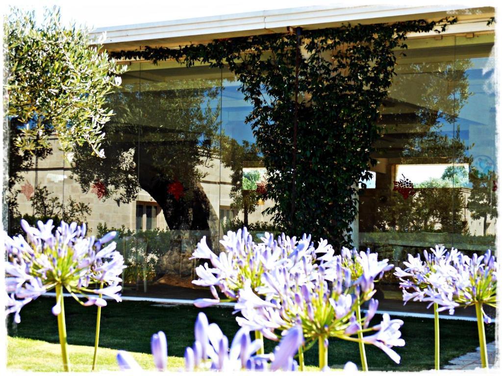 Masseria Torre Del Diamante Torre Canne Zewnętrze zdjęcie