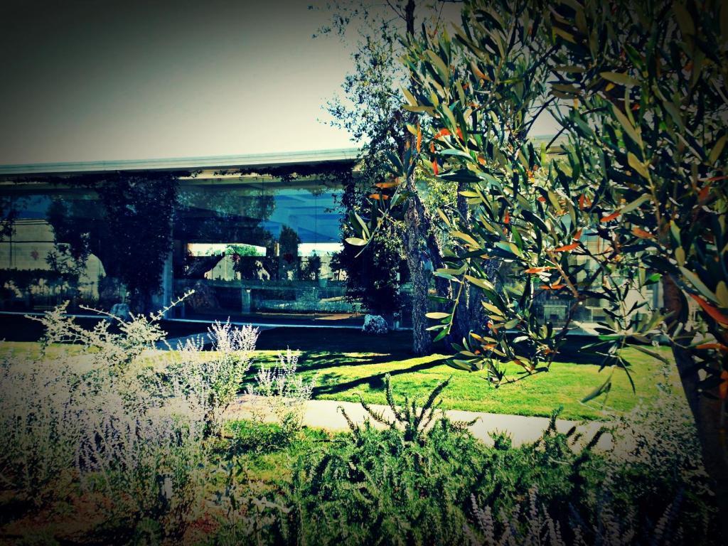 Masseria Torre Del Diamante Torre Canne Zewnętrze zdjęcie